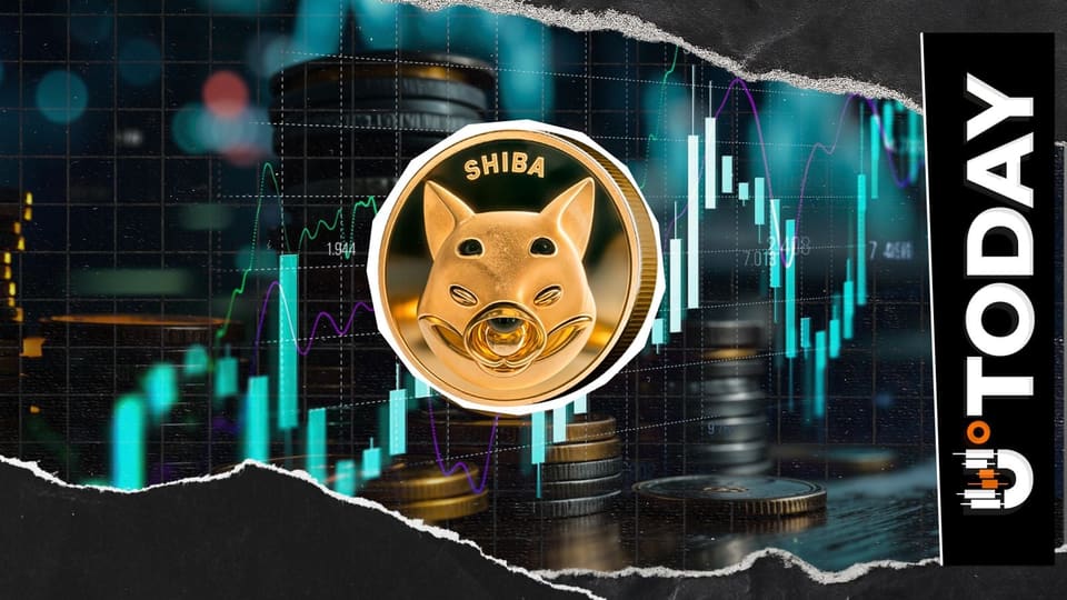 Illustration of Shiba Inu token reserves rising on crypto exchanges, with SHIB price chart in the background