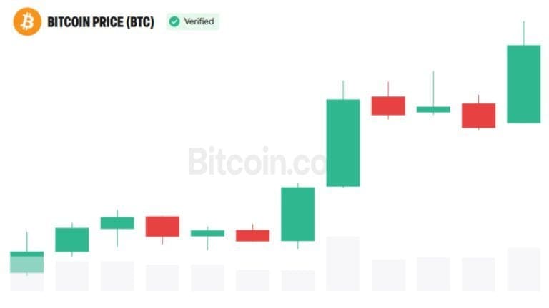 A trading screen showing a bitcoin price chart recovering from a June low, with Coinbase shares listed alongside.